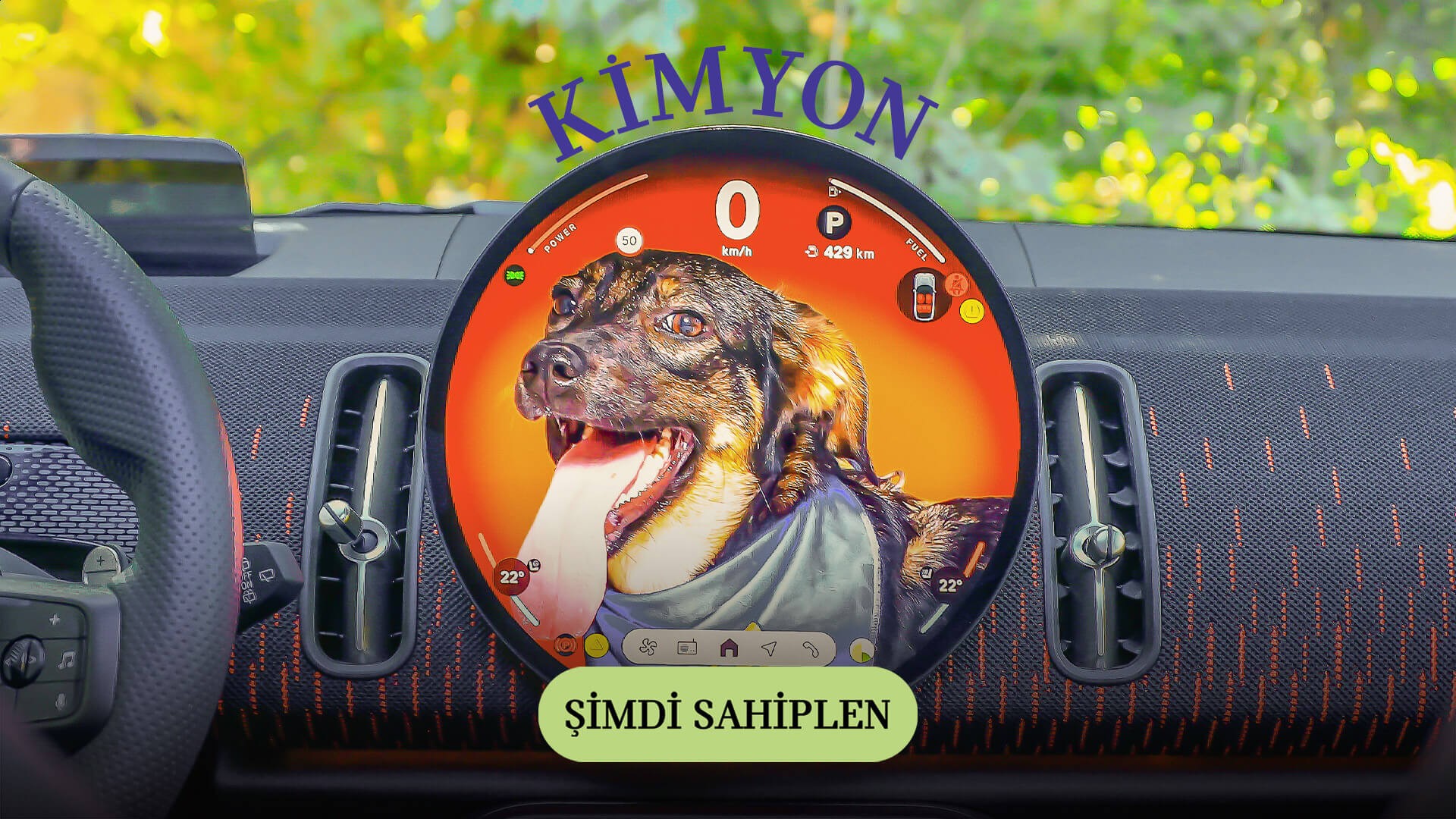 MINI Pati | MINI Türkiye